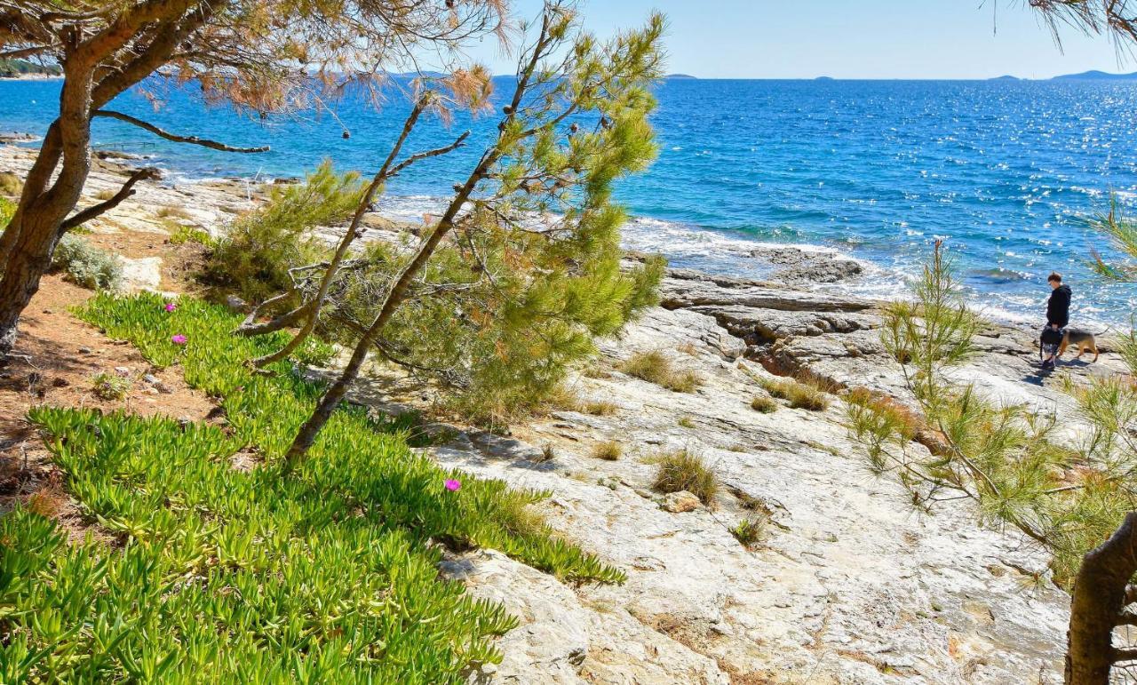 Apartments Mijo Μούρτερ Εξωτερικό φωτογραφία